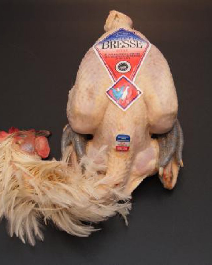 Poulet de Bresse effilé