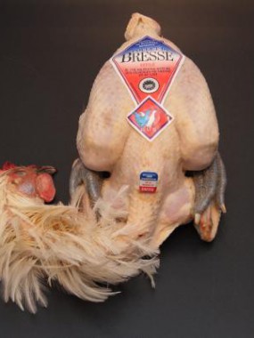 Poulet de Bresse effilé