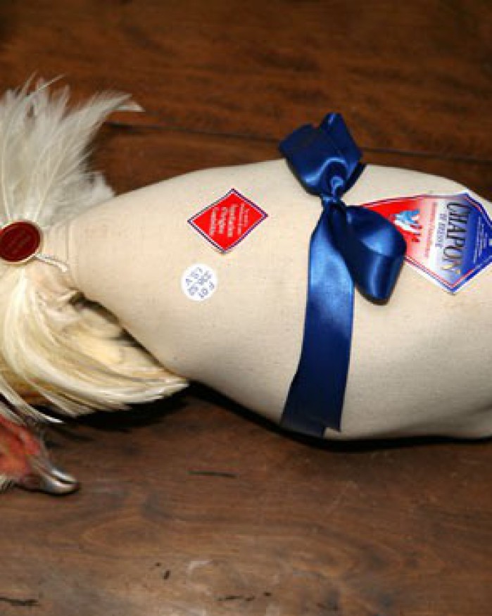 Chapon fermier de Bresse roulé sous torchon effilé