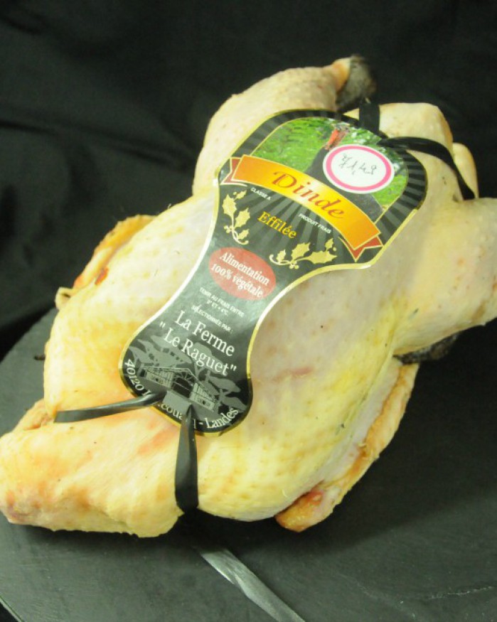 Dinde des Landes effilée