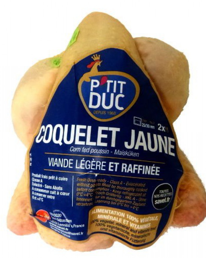 Coquelet jaune PAC